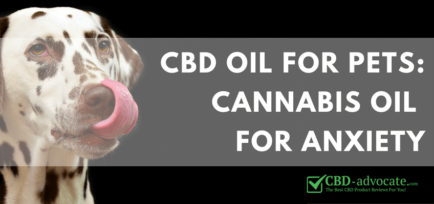 cbd oil for pets